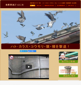 こちらをクリックして専用ページへ